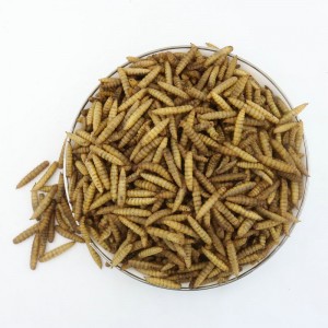 Manufacturer of Direct Sales Products Fish Bird Snack Food Larvae Dried Black Soldier Fly