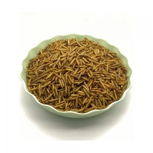 Protein rich animal feed, dry black soldier fly