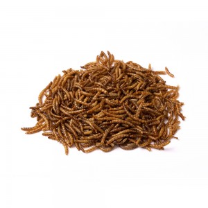 Wholesale Price FDA, ISO Dried Mealworm for Arowana Food