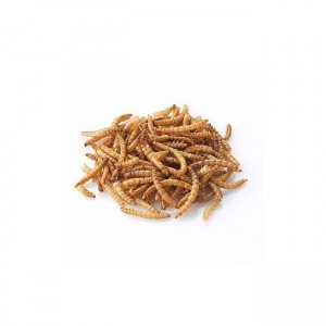 Осушени жути црви од брашна су ужина са високим садржајем протеина која је корисна за здравље и срећу кућних љубимаца