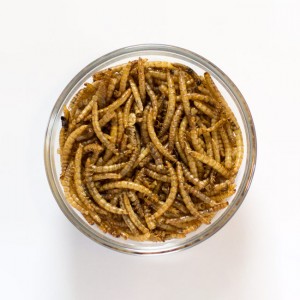 Сухите жълти червеи са здравословни и питателни