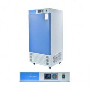 Online Exporter China Carbon Dioxide Cell Incubator LCD-Lab CO2 Incubator