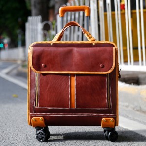 Ыңгайлаштырылган LOGO булгаары чемодан