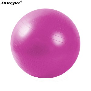 Body Building 55cm 65cm 75cm Yoga Ball with Pump