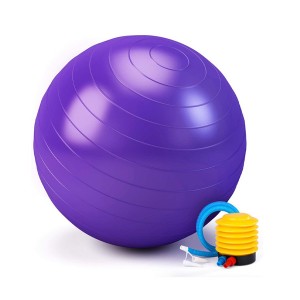 Body Building 55cm 65cm 75cm Yoga Ball with Pump