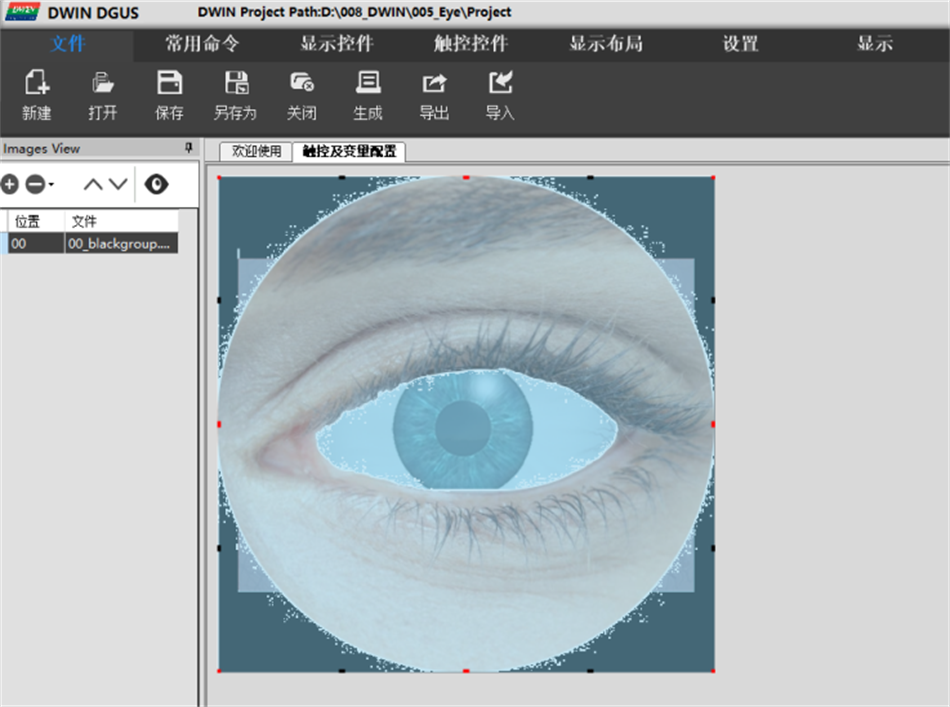 Smart Eye Based on DWIN Circular Screen