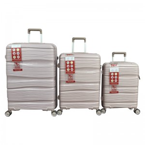 Carry On Luggage Set 3 pcs- PP Hard Sided Luggage with Spinner Wheels