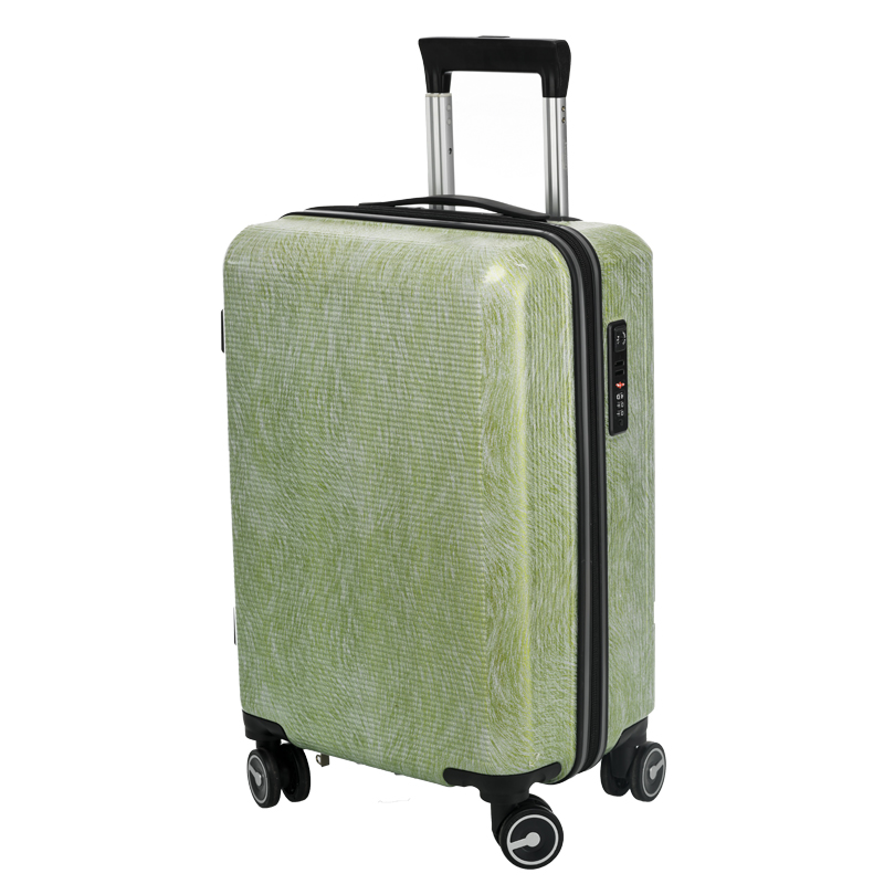 ABS luggage 