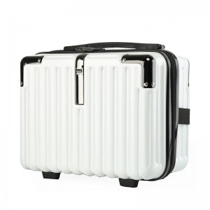 Small Hard Shell Cosmetic Case Travel Hand Luggage Portable Carrying Makeup Case Suitcase
