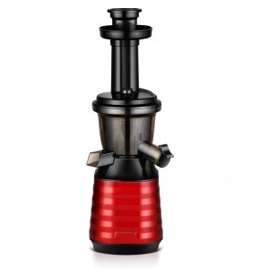 Low Speed Fruit And Vegetable Juicer