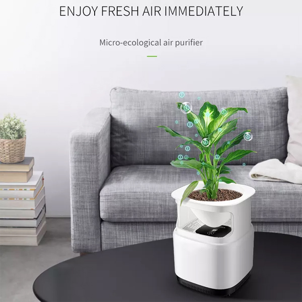 Household micro-ecological Air Purifier For Dust Featured Image