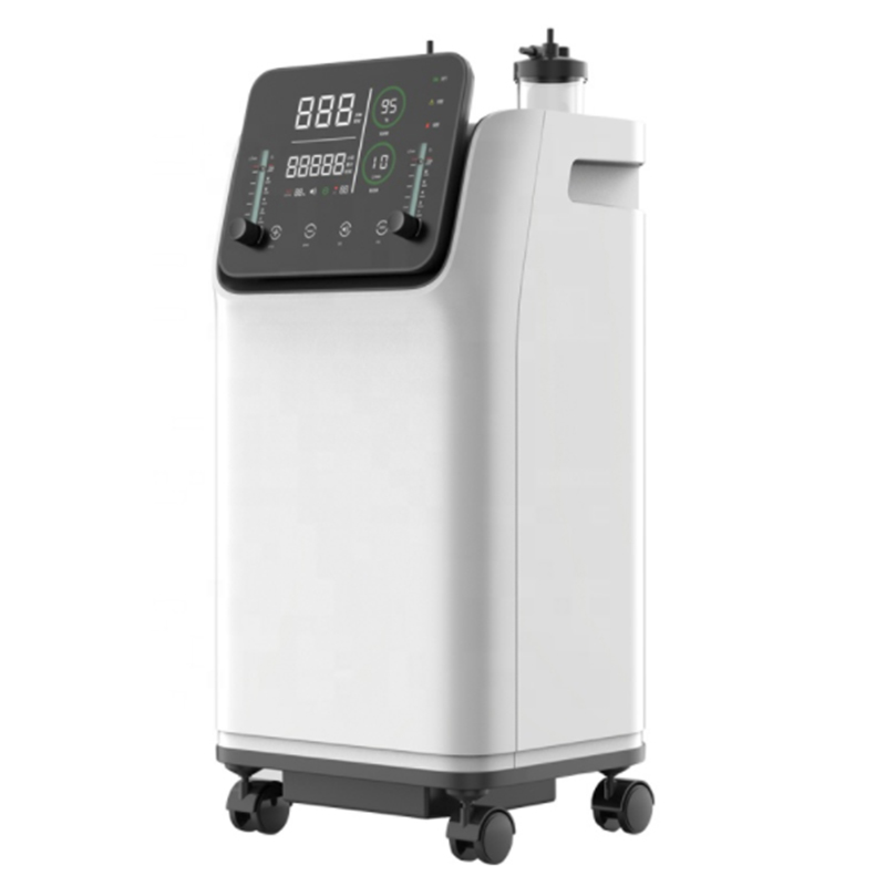 Gecertificeerde ZY-10FW 10L medische zuurstofconcentrator voor thuisgebruik voor hart- en vaatziekten bij ouderen