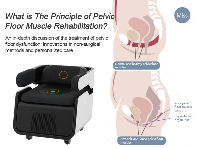 An In-depth Discussion Of The Treatment Of Pelvic Floor Dysfunction