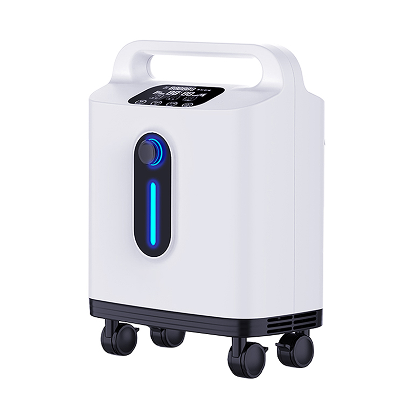 OEM Wholesale DH-011 1L/2L Household Oxygen Concentrator for Independent R&D