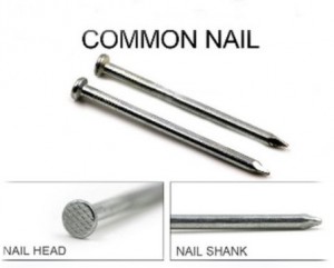 Full of our Nail, Common nail, concrete nail, roofing nail, Coil nail