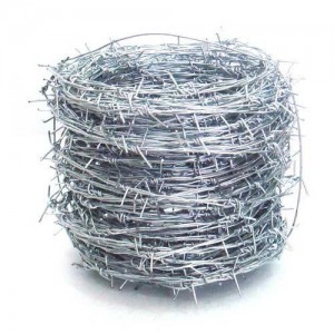double barbed wire
