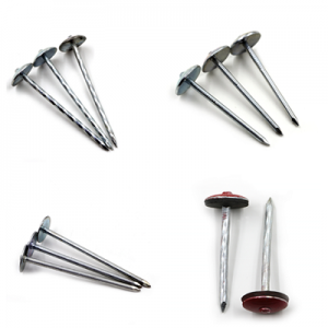 Full of our Nail, Common nail, concrete nail, roofing nail, Coil nail