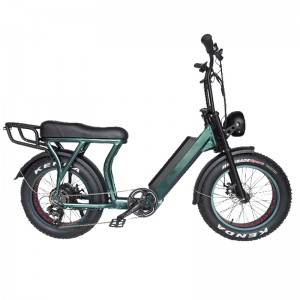 750W Beautiful Fat tyre electric step through m...