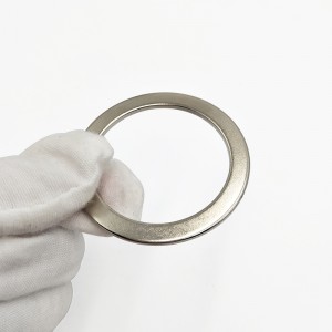 Krêftige Custom Big Ring Neodymium Magnet