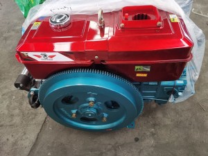 Chinese Multi Functional Agriculture Diesel Motor Water Cooled 30HP ZS1130 1 Cylinder Diesel Engine