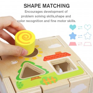 BeebeeRun Wood Shape Sorter Cube Toys with 15 Wooden Shape Blocks and Sorting Box,Learning Matching Game for Toddlers,Preschool Educational Learning Toy for Kids