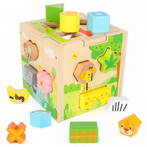 BeebeeRun Wood Shape Sorter Cube Toys with 15 Wooden Shape Blocks and Sorting Box,Learning Matching Game for Toddlers,Preschool Educational Learning Toy for Kids