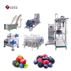 Best-selling Cost-effective Berry Processing Line