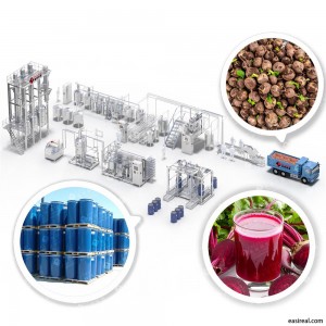 Sugar Beet Processing Line