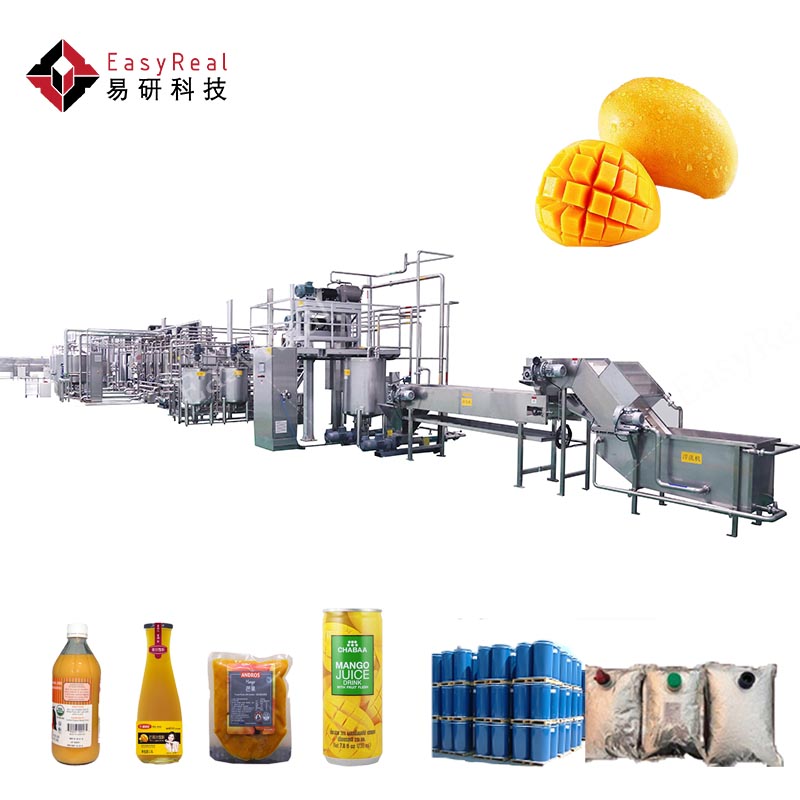 Sus304 Stainless Steel Mango Processing Production Line