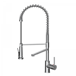 008 Pro 2in1 Kitchen Faucet