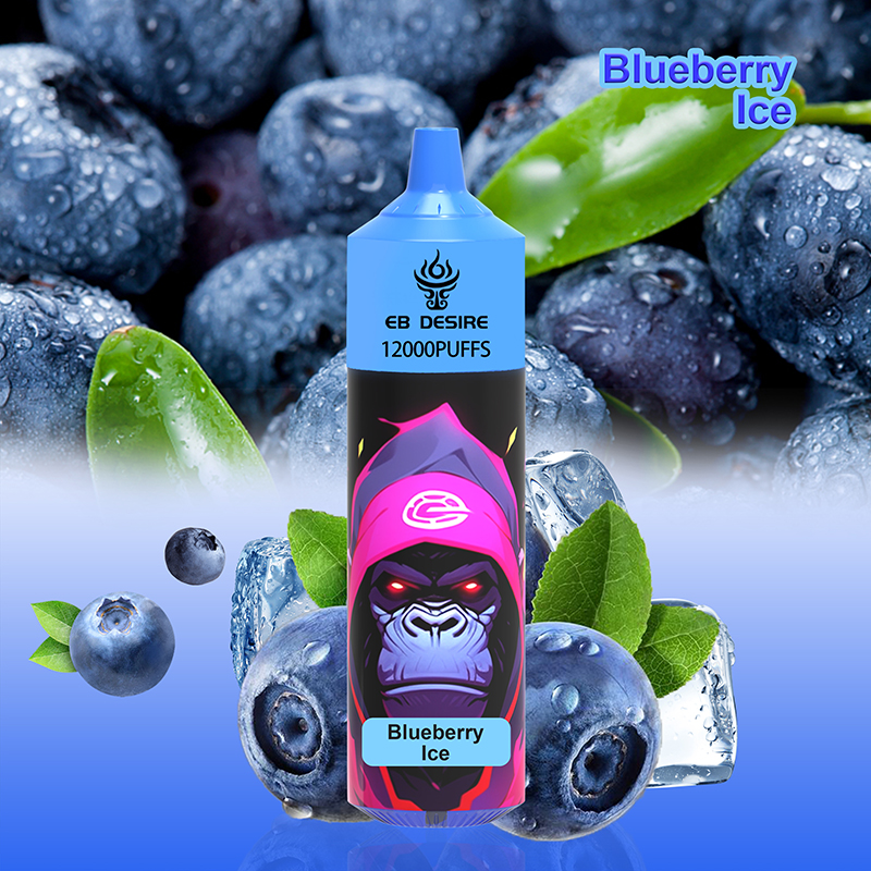 Blueberry Ice Puff 12000 Puff 9000