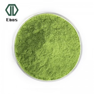 OEM卸売高品質有機緑茶粉末和式抹茶緑茶エキス粉末