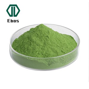Polvere di estratto di tè verde Matcha per cerimonia giapponese in polvere di tè verde biologico di alta qualità all'ingrosso OEM