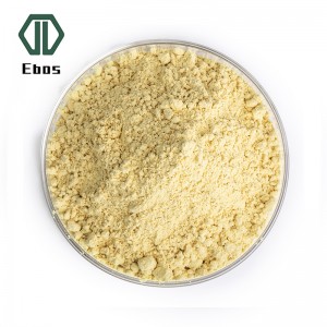 Factory Supple 10% Ginsenoside Rg3 Panax Ginseng Radix Extract Anti-canus Ginsenoside Capsula 40% 80%