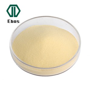 Proizvodna veleprodajna cijena Biljni ekstrakt Euglena Gracilis Ekstrakt Euglena u prahu