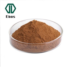 Piegādājiet Echinacea Purpurea ekstraktu Echinacea ekstrakts Dabīgais ehinācijas purpurea ziedu ekstrakts 4% 10% polifenoli