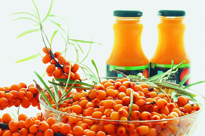 Sea Buckthorn Extract: A Natural Solution for Healthy Hair, Skin, and More