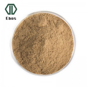 Kilang Profesional Jualan panas 100% Coix Seed Job's tears Extract Powder Coix Seed Peptide