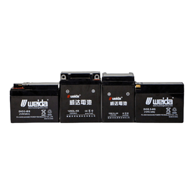 weida 12.8V motorcycle lithium-ion st...