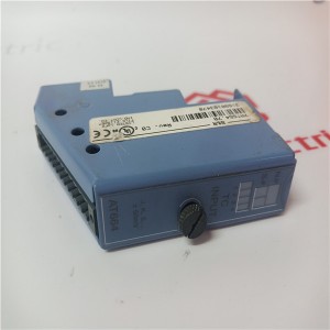 Leading Manufacturer for Rexroth 0360-500-00/MF01 - B&R AT664 7AT664 Analog Input Module – SAUL ELECTRIC