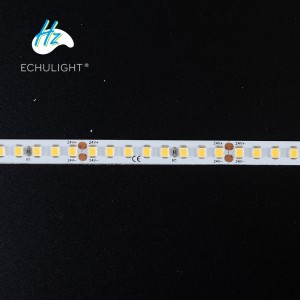 ECDS-C160-24V-12MM(SMD2835) Ultra-long Flexible LED Strip