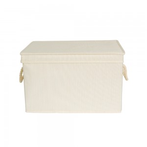 Storage Box for Children’s Products with Lid