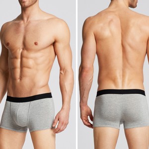 ECOGARMENTS Eco friendly Bamboo Cotton Brief Boxer For Man