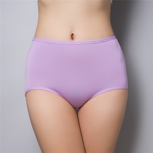 ECOGARMENTS Factory Wholesale Bamboo Fiber Solid Color High Waist Pambabaeng Brief