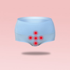 ECOGARMENTS Marca de cintura alta feminina ímã roupa íntima menstrual