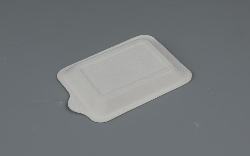 Square/Rectangular Cake Tray Biodegradable Bagasse Tableware