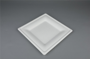 6″/10″ Square Plates Biodegradable Compostable Bagasse Tableware