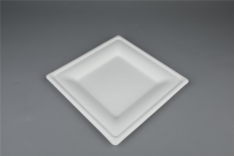 6″/10″ Square Plates Biodegradable Compostable Bagasse Tableware