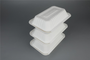 China Wholesale Pulp Clamshells Manufacturers –  Degradable Compostable Sugarcane Bagasse Tableware 9″×6″ Rectangle Clamshell  – Hongsheng