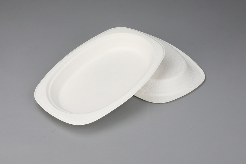 9″×6″ Rectangle Oval Plate Environmental Degradable Bagasse Tableware